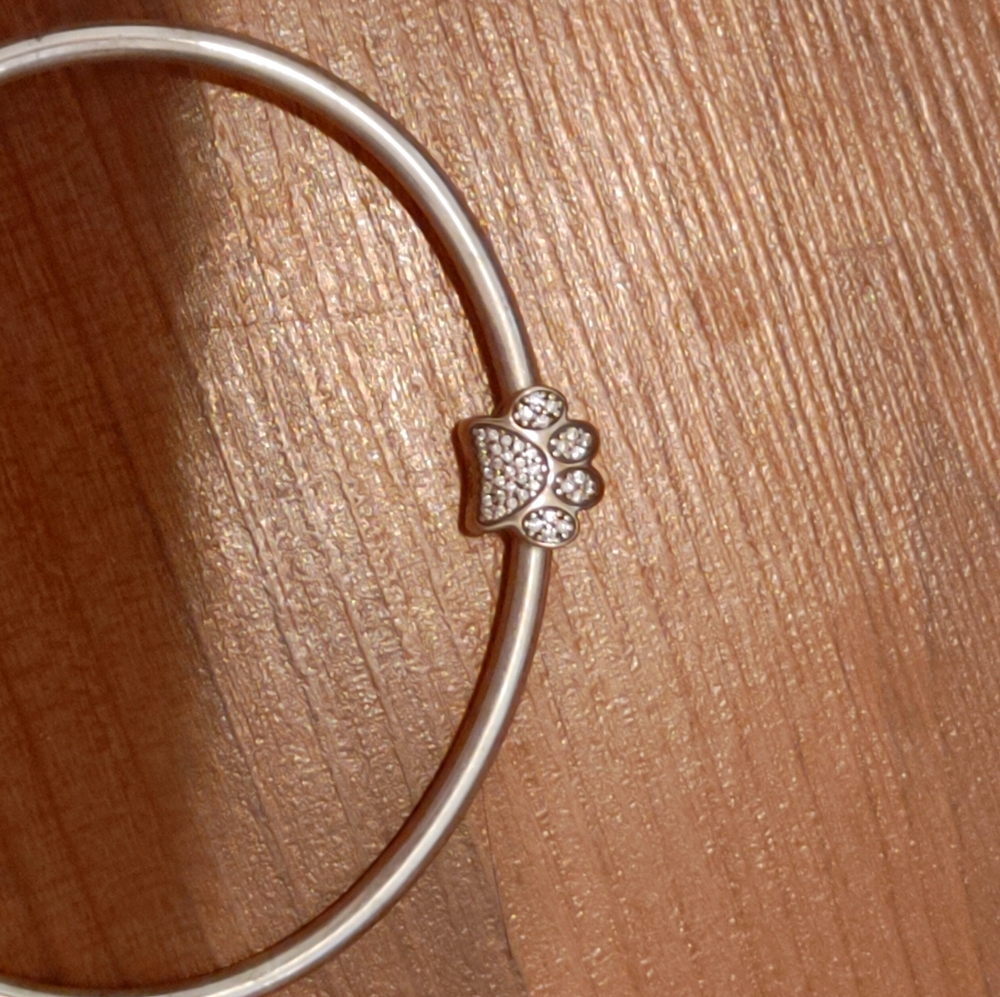 Pandora charm